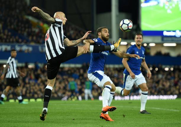 传言的不屑 传言的不屑