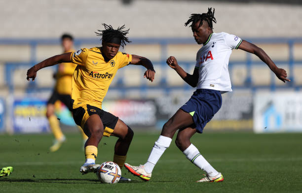 风格的影响 风格的影响